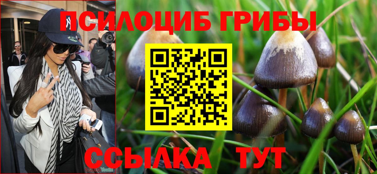Сальск  Галлюциногенные грибы MAGIC MUSHROOMS  Вход с VPN  Галлюциногенные грибы Psilocybe 