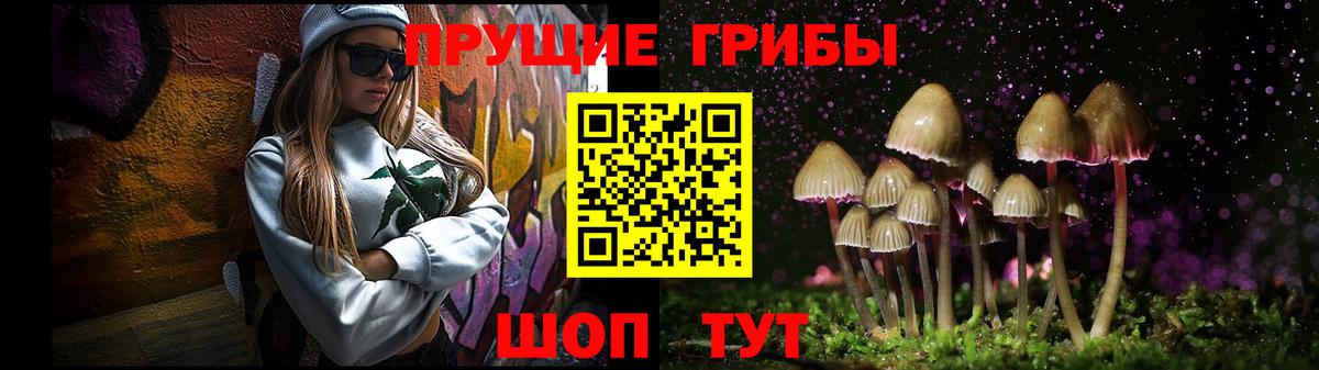 Галлюциногенные грибы Psilocybe Сальск
